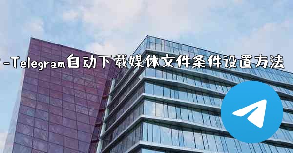 <b>Telegram がメディア ファイル (写真、ビデオ、ドキュメント) を自動的にダウンロードするための条件 (モバイル</b>