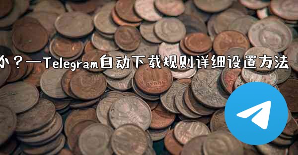 Telegram の自動メディア ダウンロード ルールで「詳細」オプションを設定するにはどうすればよいですか？—Tele