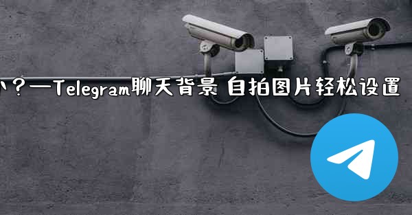 自分の写真を Telegram チャットの背景として使用できますか？—Telegram聊天背景 自拍图片轻松设置