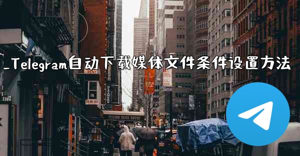 Telegram がメディア ファイル (写真、ビデオ、ドキュメント) を自動的にダウンロードするための条件 (モバイル