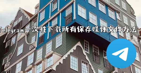 Telegram一次性下载所有保存媒体文件方法