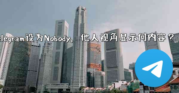 Telegram设为Nobody，他人视角显示何内容？