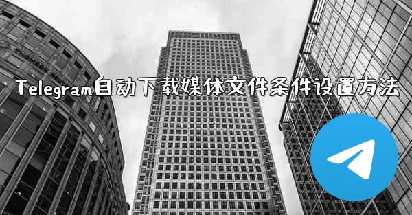 <b>Telegram自动下载媒体文件条件设置方法</b>