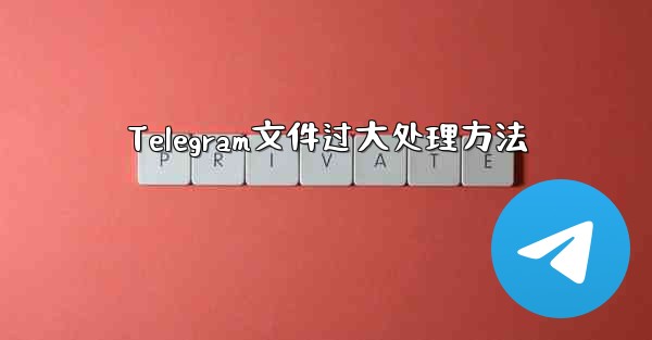 Telegram文件过大处理方法