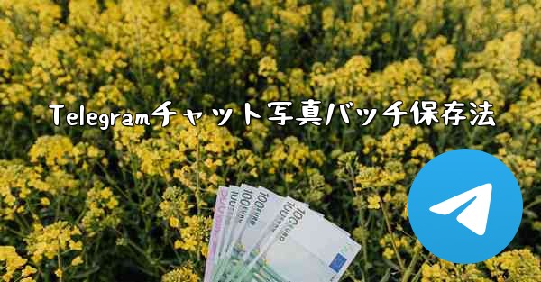 Telegramチャット写真バッチ保存法