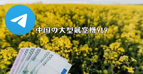 中国の大型航空機919