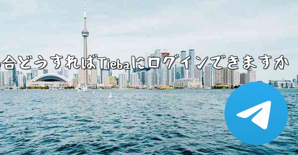 <b>Paper Planeにログインする際に認証コードが届かない場合どうすればTiebaにログインできますか</b>