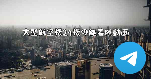 大型航空機24機の離着陸動画