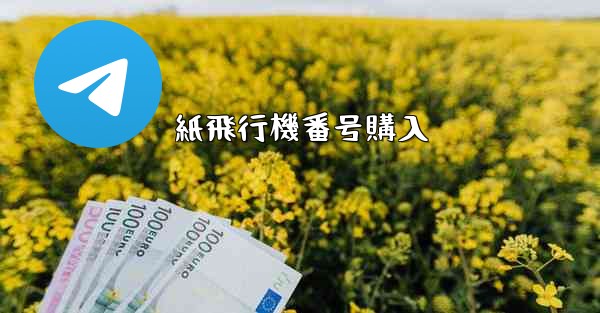 紙飛行機番号購入