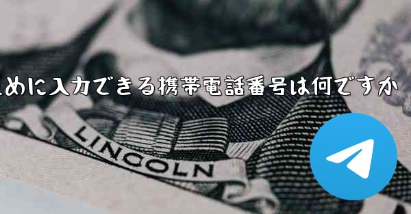 <b>Paper Plane にログインするために入力できる携帯電話番号は何ですか</b>