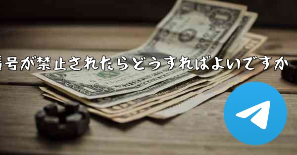 <b>私の紙飛行機の番号が禁止されたらどうすればよいですか</b>