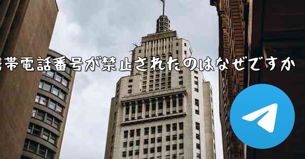 Paper Plane の携帯電話番号が禁止されたのはなぜですか