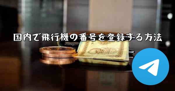国内で飛行機の番号を登録する方法