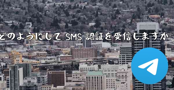 Paper Plane はどのようにして SMS 認証を受信しますか