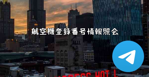 航空機登録番号情報照会