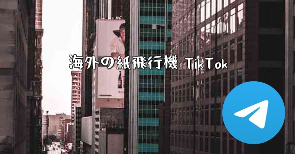 海外の紙飛行機 TikTok