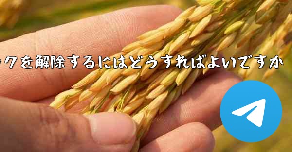 紙飛行機がブロックされた後にすぐにブロックを解除するにはどうすればよいですか