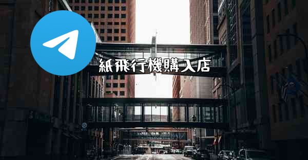 紙飛行機購入店