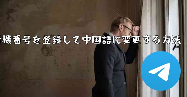 飛行機番号を登録して中国語に変更する方法
