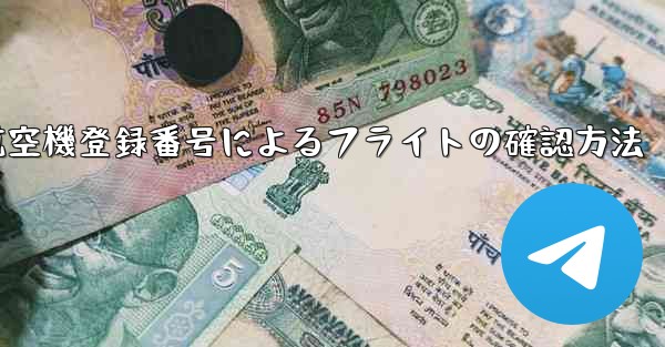 航空機登録番号によるフライトの確認方法
