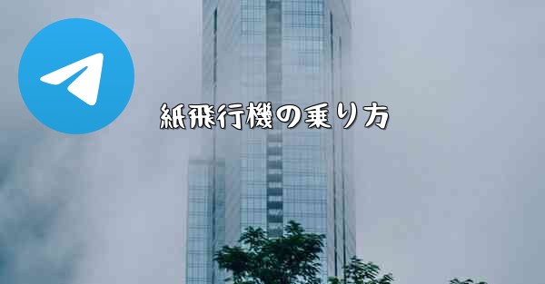 紙飛行機の乗り方