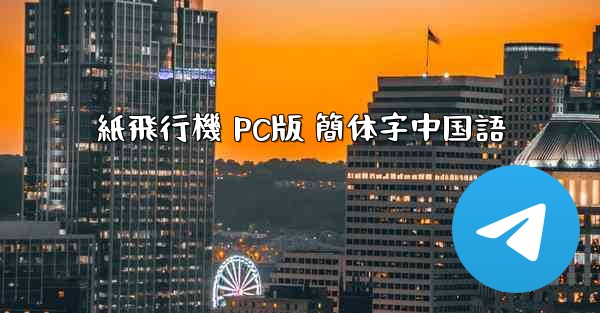 紙飛行機 PC版 簡体字中国語
