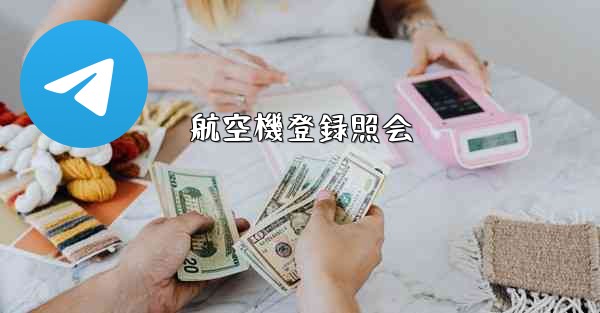 <b>航空機登録照会</b>