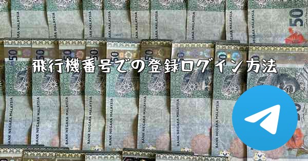 <b>飛行機番号での登録ログイン方法</b>