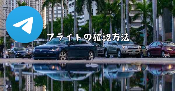 フライトの確認方法