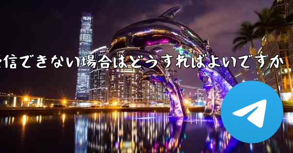 Paper Plane の携帯電話番号でテキスト メッセージを受信できない場合はどうすればよいですか