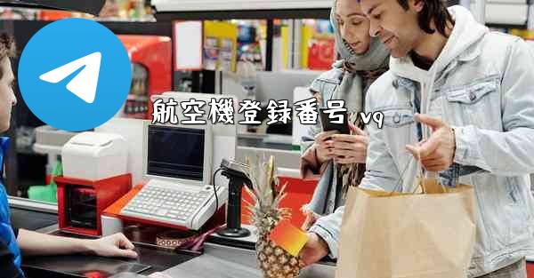 航空機登録番号 vq