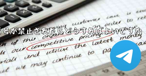 私の紙飛行機の携帯電話番号が禁止されたらどうすればよいですか