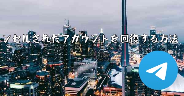 Paper Planeのキャンセルされたアカウントを回復する方法