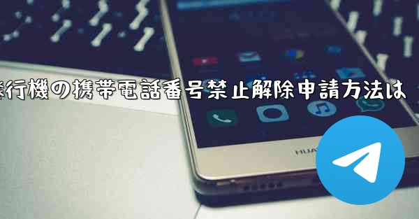 紙飛行機の携帯電話番号禁止解除申請方法は