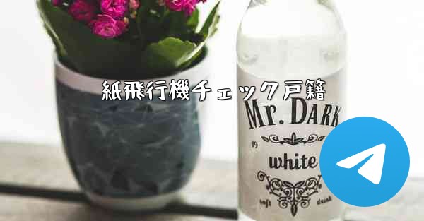 <b>紙飛行機チェック戸籍</b>