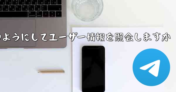 Paper Plane はどのようにしてユーザー情報を照会しますか