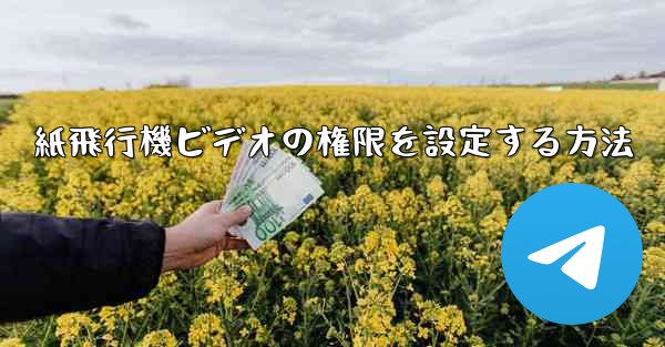 紙飛行機ビデオの権限を設定する方法