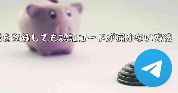 Paper Plane 中国の携帯電話を登録しても認証コードが届かない方法