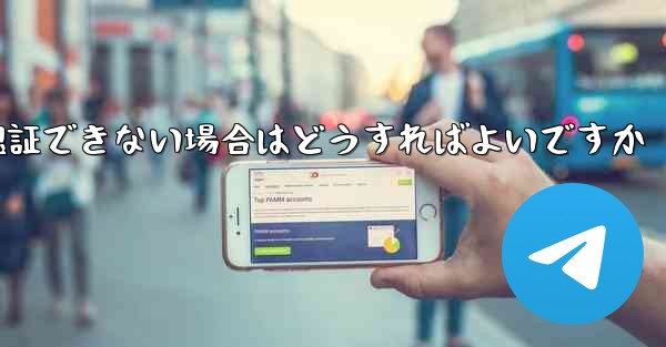 Paper Plane の携帯電話番号が認証できない場合はどうすればよいですか