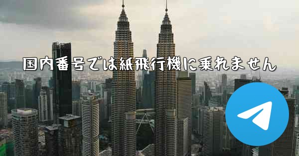 国内番号では紙飛行機に乗れません