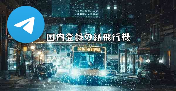 国内登録の紙飛行機