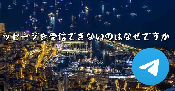 <b>Paper Plane が確認コードのテキスト メッセージを受信できないのはなぜですか</b>