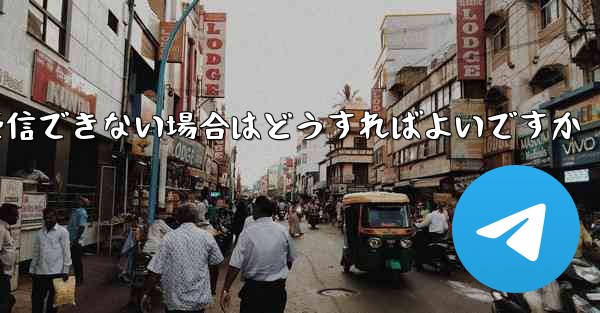 Paper Plane の携帯電話番号でテキスト メッセージを受信できない場合はどうすればよいですか