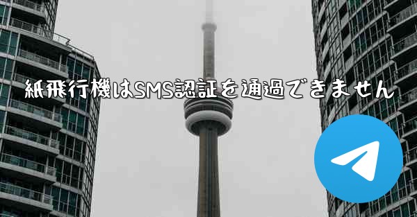 紙飛行機はSMS認証を通過できません
