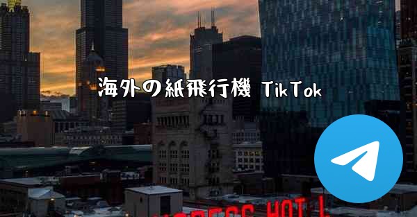 海外の紙飛行機 TikTok
