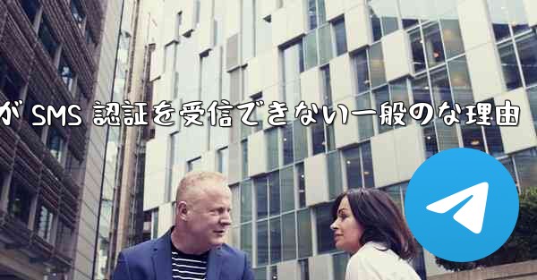 Paper Plane が SMS 認証を受信できない一般のな理由