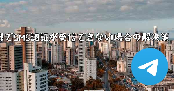 紙飛行機でSMS認証が受信できない場合の解決策