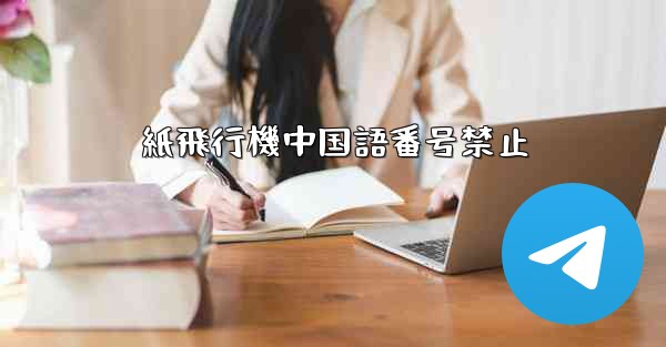 紙飛行機中国語番号禁止