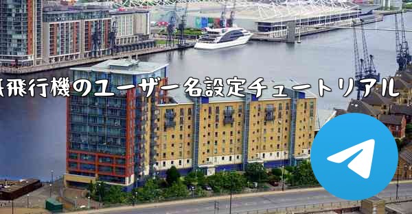 紙飛行機のユーザー名設定チュートリアル