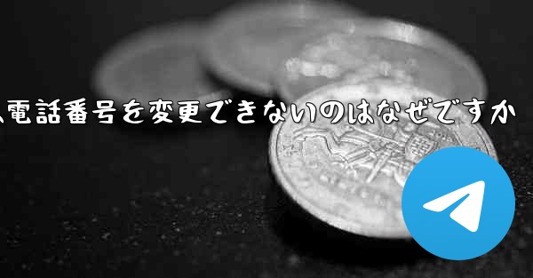 Paper Plane では電話番号を変更できないのはなぜですか